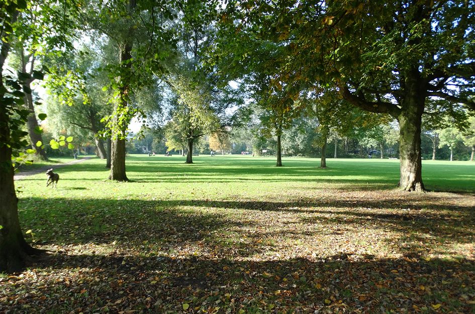 J.H. Leopoldstraat 11I