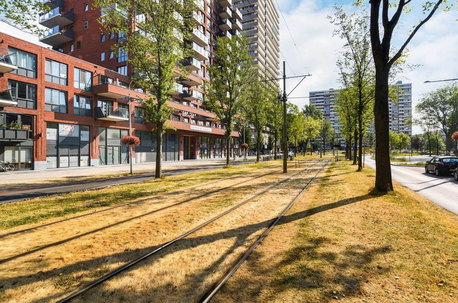 Martinus Nijhofflaan 404