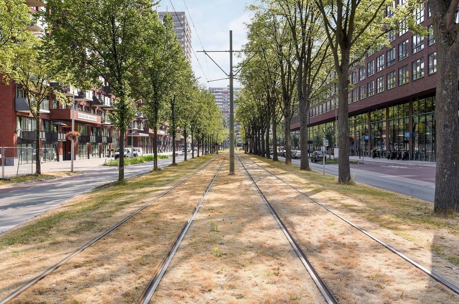 Martinus Nijhofflaan 576