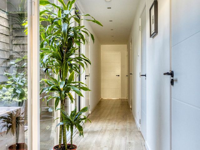 Tollensstraat 47B, Rotterdam