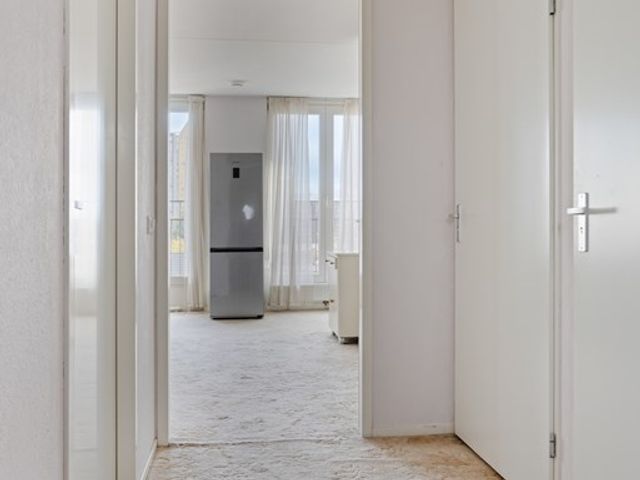 Boschdijk 383 41, Eindhoven