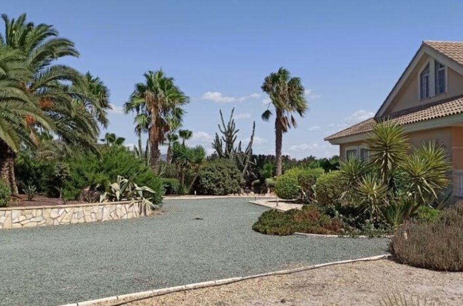 Camino de los Berengueles 224