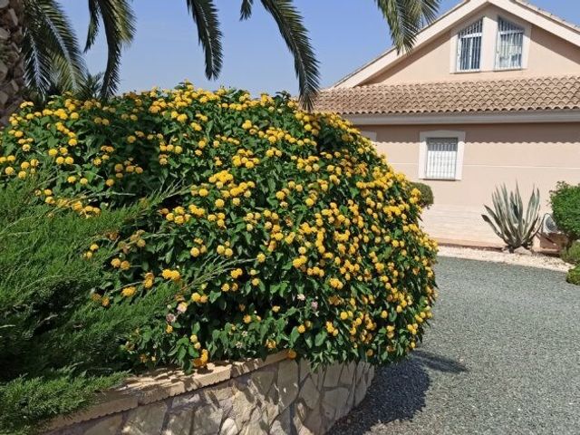 Camino de los Berengueles 224, Puerto Lumbreras