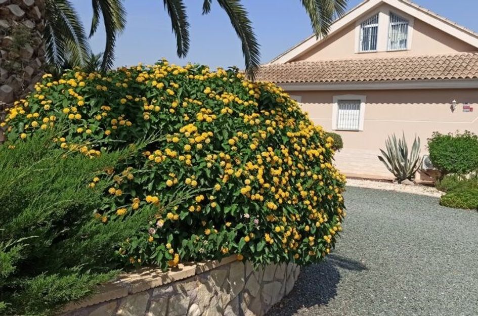 Camino de los Berengueles 224