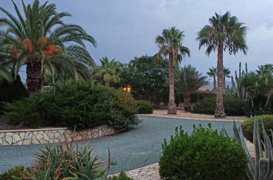 Camino de los Berengueles 224