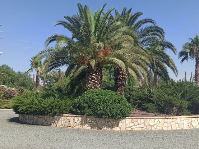 Camino de los Berengueles 224, Puerto Lumbreras