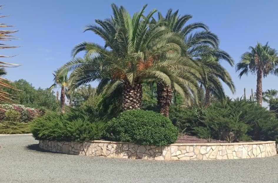 Camino de los Berengueles 224