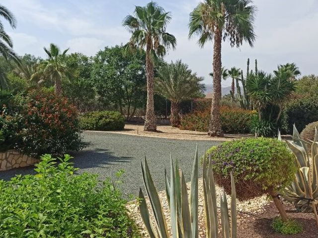 Camino de los Berengueles 224, Puerto Lumbreras