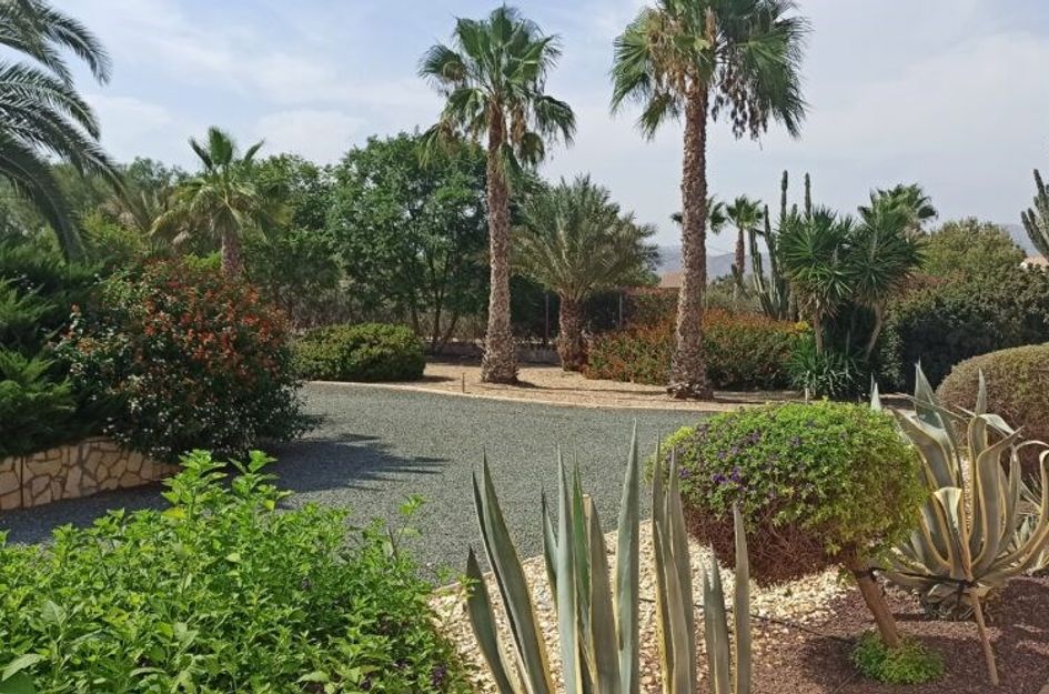 Camino de los Berengueles 224