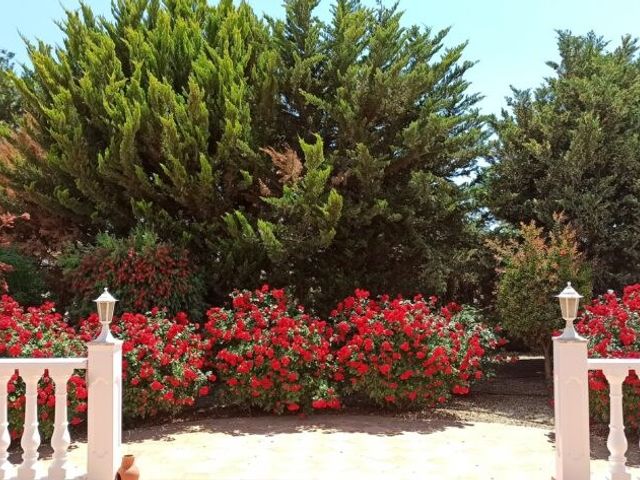 Camino de los Berengueles 224, Puerto Lumbreras