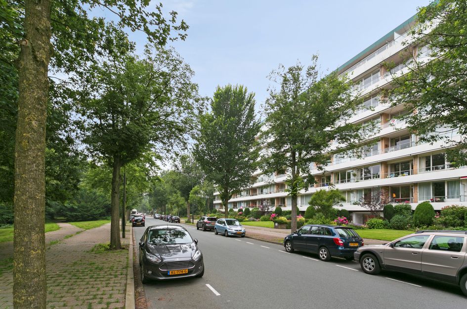 Ruychrocklaan 418