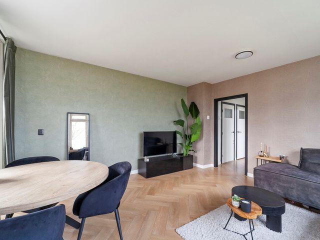 Isabellaland 1490, 's-Gravenhage