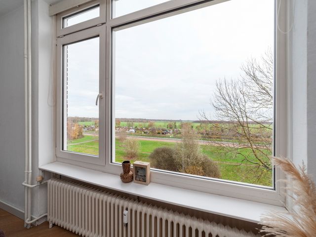 Isabellaland 1490, 's-Gravenhage