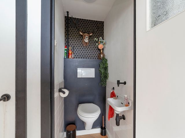 Isabellaland 1490, 's-Gravenhage