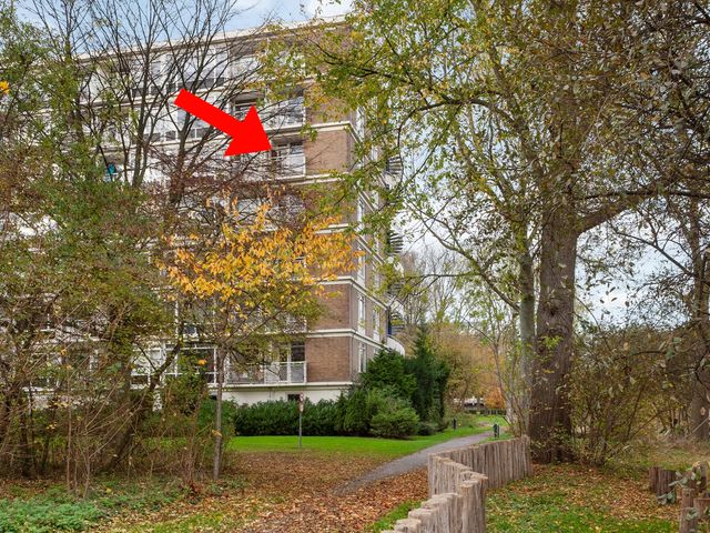 Isabellaland 1490, 's-Gravenhage