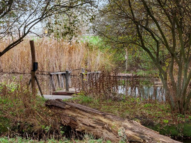 Isabellaland 1490, 's-Gravenhage