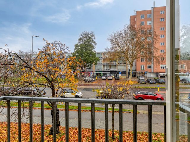 Louise de Colignystraat 22, Alphen aan den Rijn