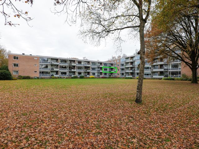 Dingspellaan 29, Zuidlaren