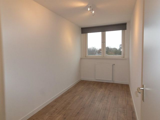 Prattenburg 183, Haarlem