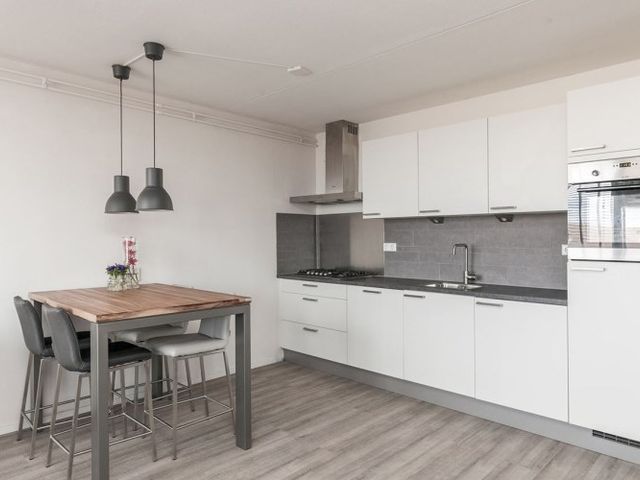 Eikenhorst , Alphen aan den Rijn