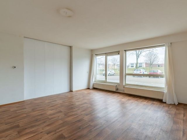 Bernard Shawsingel , Amsterdam