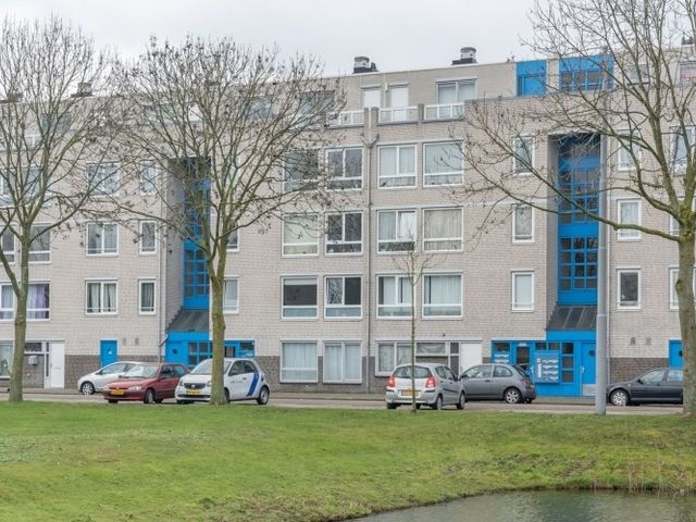 Bernard Shawsingel , Amsterdam