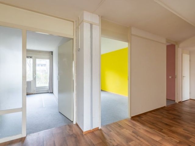 Bernard Shawsingel , Amsterdam