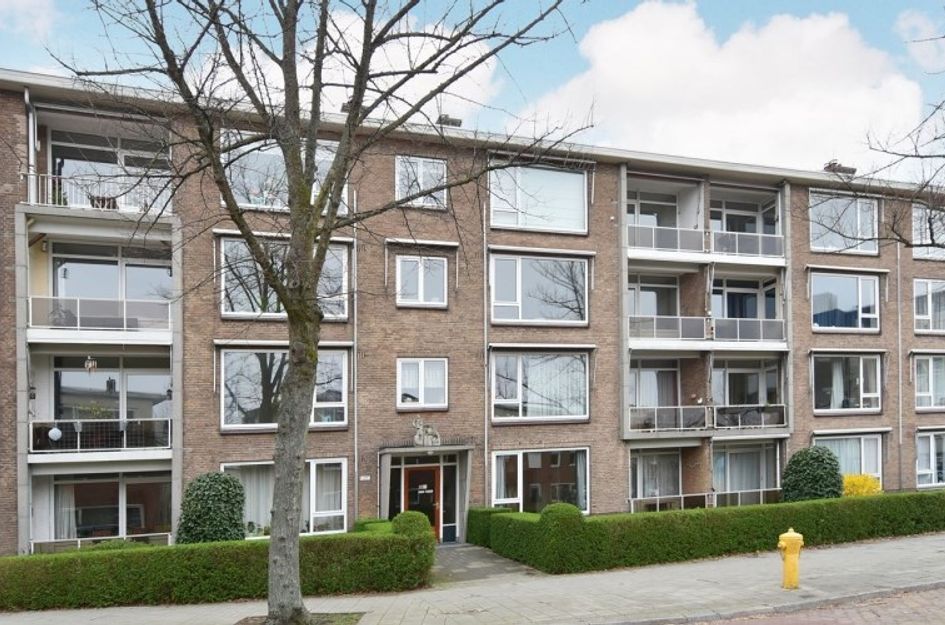 Willem van Aelststraat 