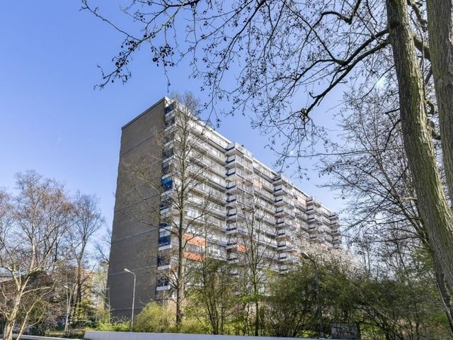 Adama van Scheltemaplein , Delft