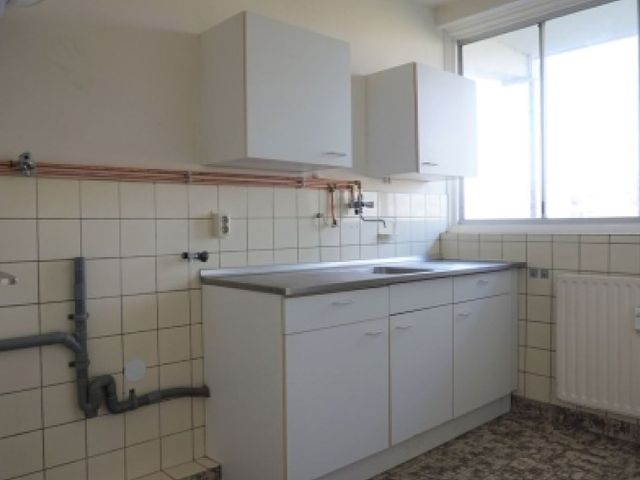 Maassingel , 's-Hertogenbosch