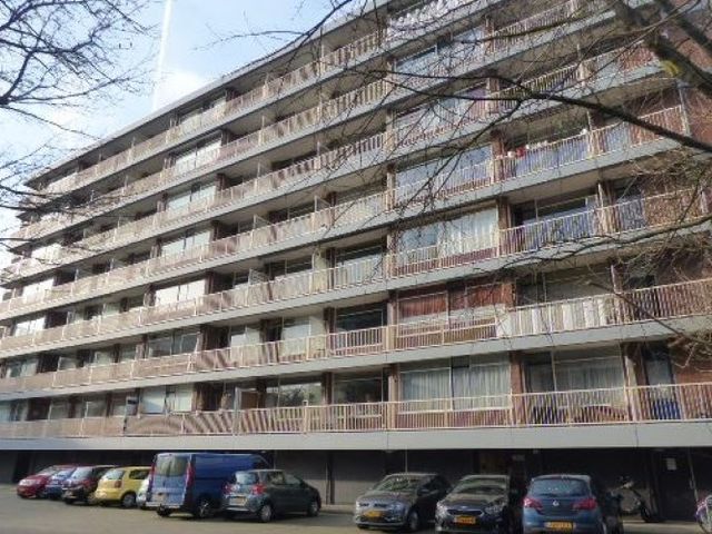 Kornalijnhorst , Den Haag