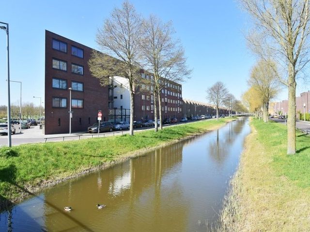 Snoekbaarssingel , Den Haag