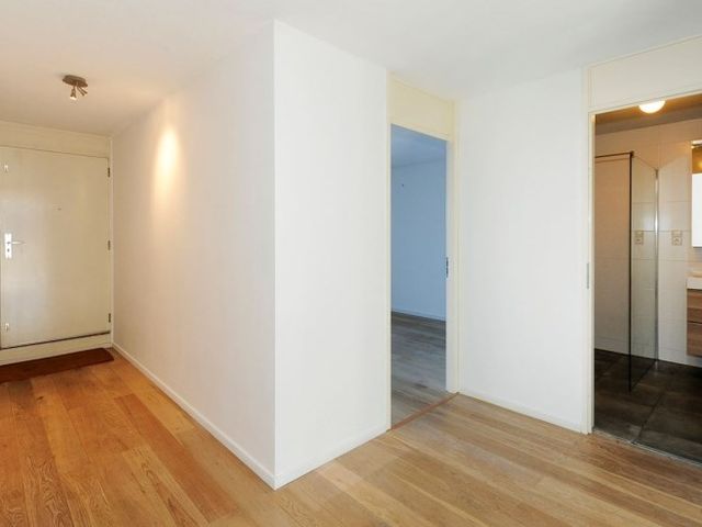 Zwolsestraat , Den Haag