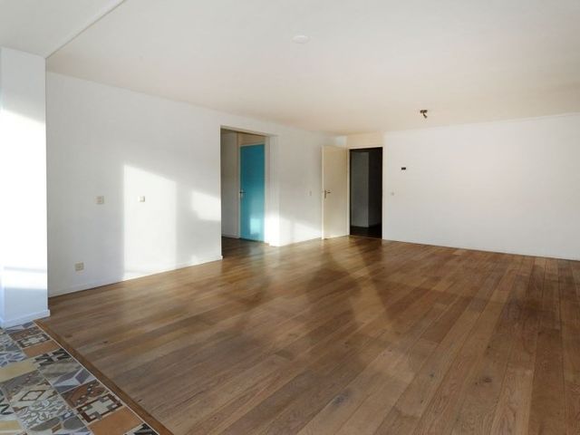 Zwolsestraat , Den Haag