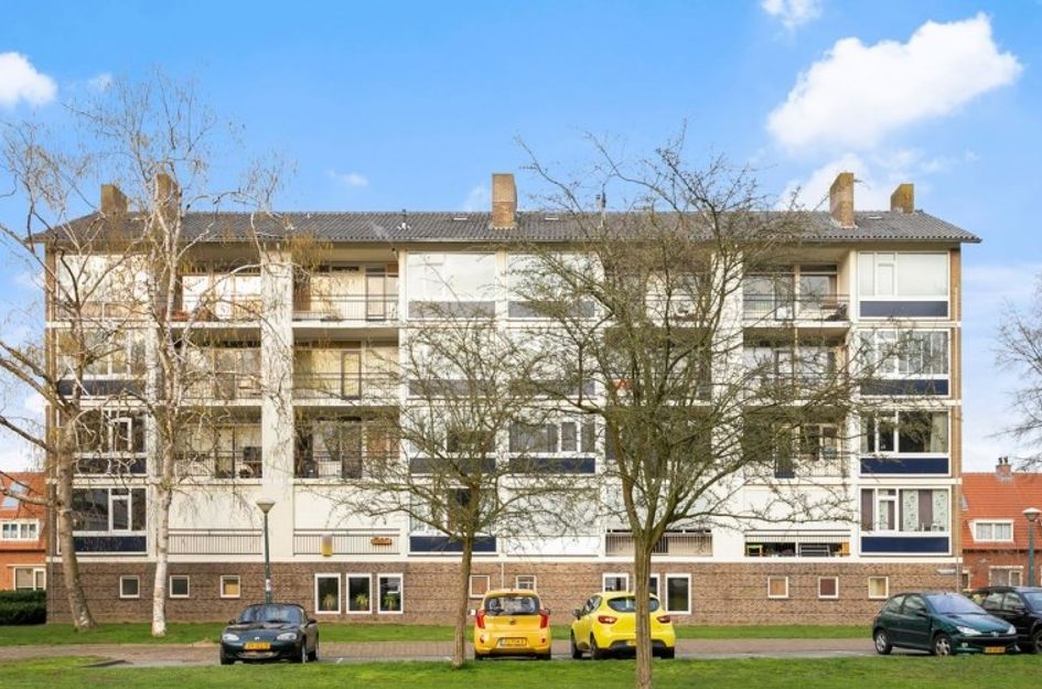 Simon van Leeuwenstraat 