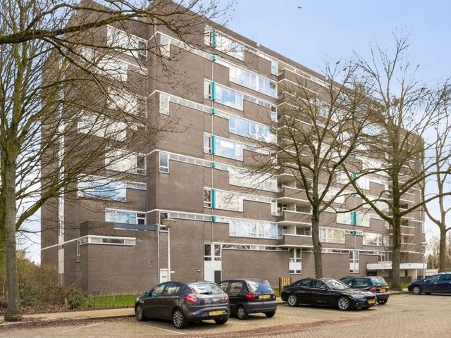 Maalakker , Eindhoven