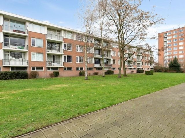 Pisanostraat , Eindhoven