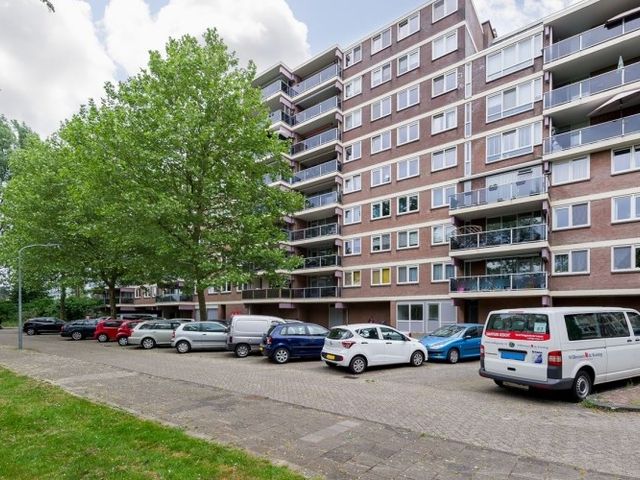 Prattenburg , Haarlem