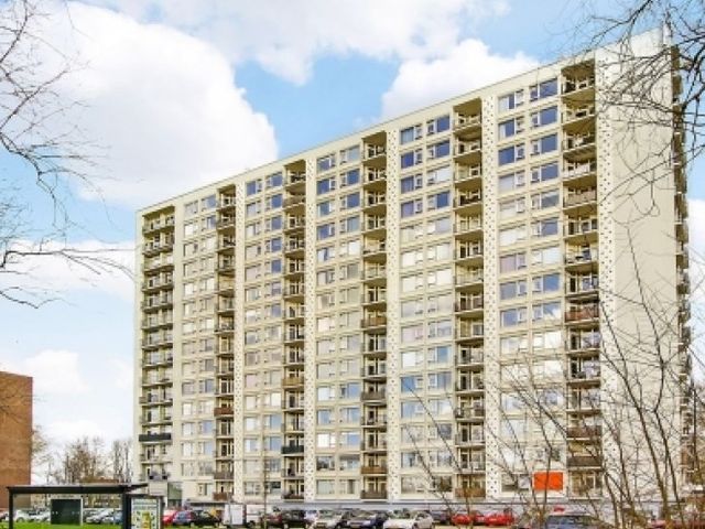 Van Leeuwenhoekstraat , Haarlem