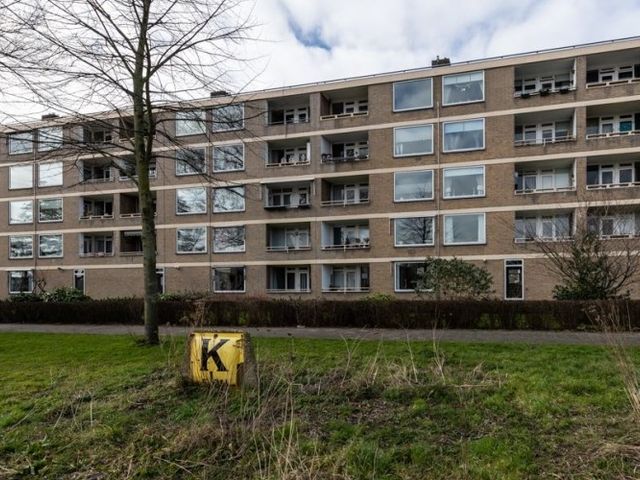 Paramaribostraat , Leiden