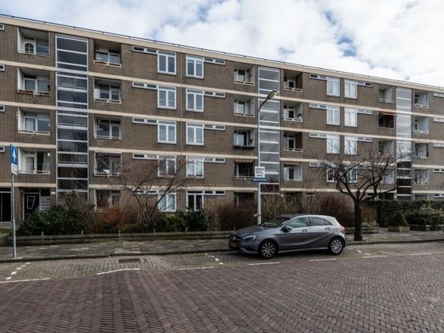 Paramaribostraat , Leiden