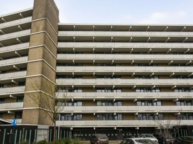 Cruquiuslaan , Leiden