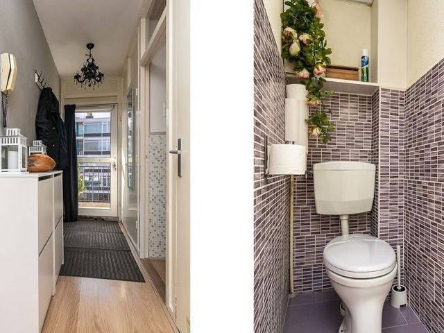 Platostraat , Rotterdam