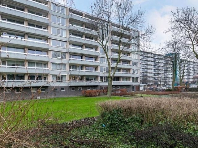 Everaertstraat , Rotterdam