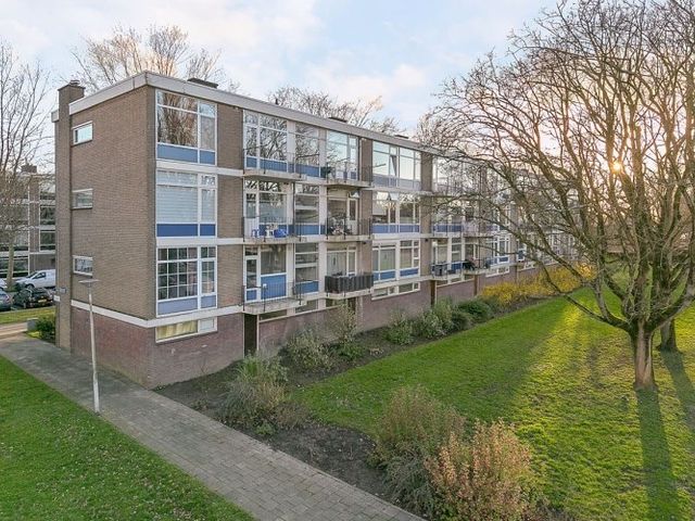 Schoonegge , Rotterdam