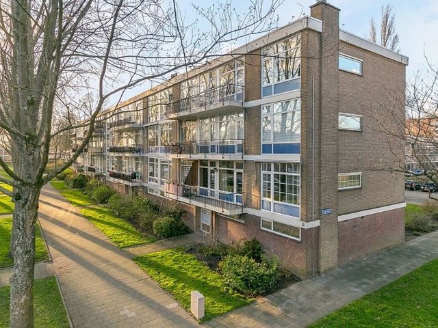 Schoonegge , Rotterdam