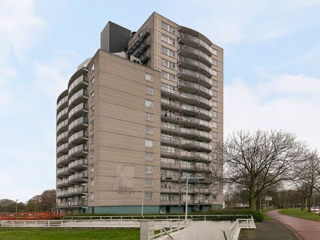 Den Uylsingel , Rotterdam