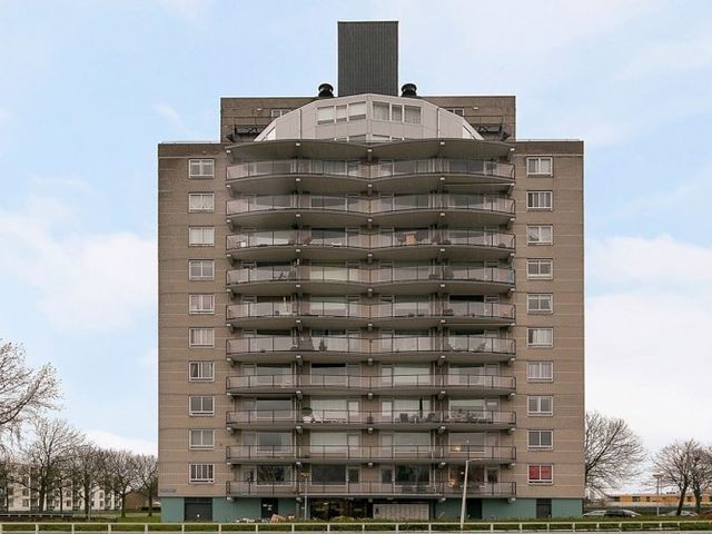 Den Uylsingel , Rotterdam