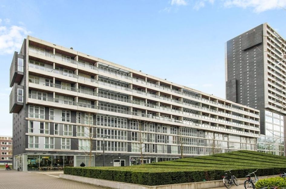 Professor de Moorplein 