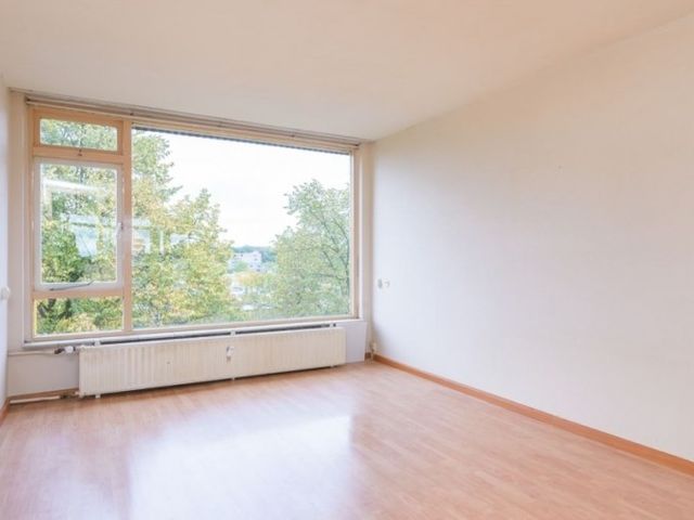 Moezeldreef , Utrecht